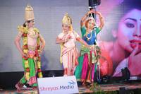 Pavitra Audio Launch